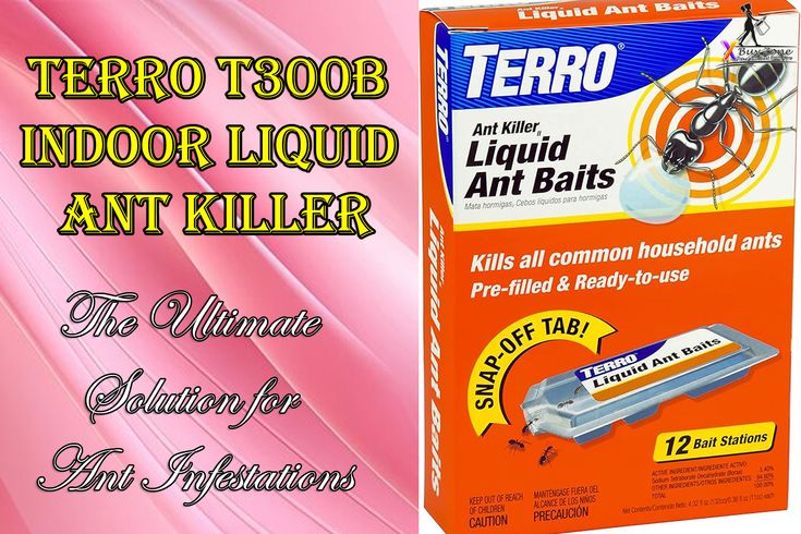 TERRO T300B Indoor Liquid Ant Killer