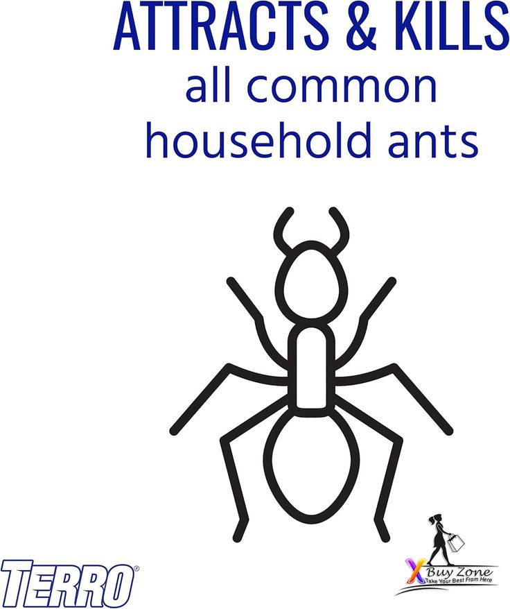 TERRO T300B Indoor Liquid Ant Killer