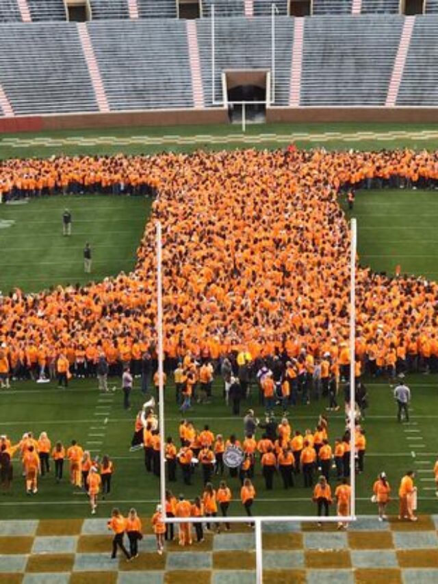 A Deep Dive into Tennessee Basketball’s Legacy and Future